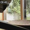 09時45分 ごろ