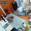10時25分 ごろ