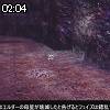 02時00分 ごろ