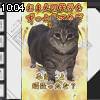 10時00分 ごろ