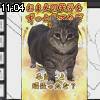 11時00分 ごろ