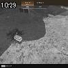 10時25分 ごろ