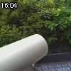 16時00分 ごろ