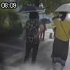 08時05分 ごろ