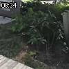 08時30分 ごろ