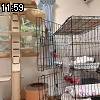 11時55分 ごろ