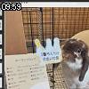 09時55分 ごろ