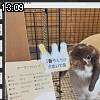 13時05分 ごろ