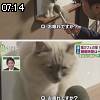 07時10分 ごろ