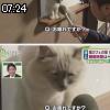 07時20分 ごろ