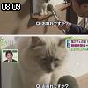 08時05分 ごろ
