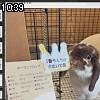 10時35分 ごろ