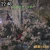 22時45分 ごろ