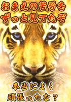 虎,おまえの苦労をずっと見てたぜ,本当によく頑張ったな,動物,励まし