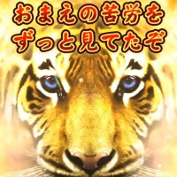 虎,おまえの苦労をずっと見てたぞ,動物,リアル風