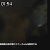 01時50分 ごろ