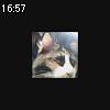 16時55分 ごろ