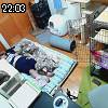 22時00分 ごろ