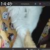 14時45分 ごろ