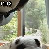 12時15分 ごろ