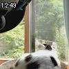12時45分 ごろ