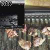 20時20分 ごろ