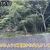 15時15分 ごろ