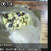 06時10分 ごろ