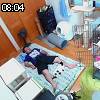 08時00分 ごろ