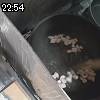 22時50分 ごろ