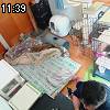 11時35分 ごろ